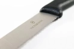Victorinox Steak Fixed Knife 4.5" Serrated Stainless Steel Blade Black Nylon Handle 50833S -Victorinox Sale Online s l1600 2 c3172b7b 2de4 4e9c 8737 b44f0eb1d252