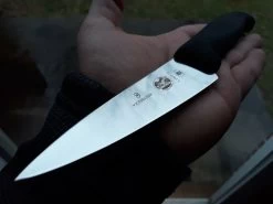 Victorinox Mini Chefs Fixed Knife 5" Stainless Steel Blade Black Fibrox Handle 5200312 10 Victorinox Mini Chefs Fixed Knife 5" Stainless Steel Blade Black Fibrox Handle 5200312 -Victorinox Sale Online s l1600 3 45d4c5cf 755a 4034 aae4 865ad85a24e5