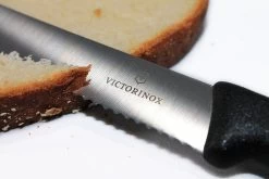 Victorinox Steak Fixed Knife 4.5" Serrated Stainless Steel Blade Black Nylon Handle 50833S -Victorinox Sale Online s l1600 5 7ed2a275 0ced 4542 a296 02928350b9f0